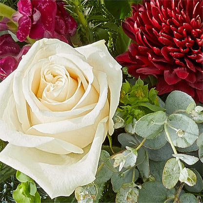 Cranberry Fizz Bouquet –  Ko Caffee Llc Dba Verde Galerie, Stamford CT