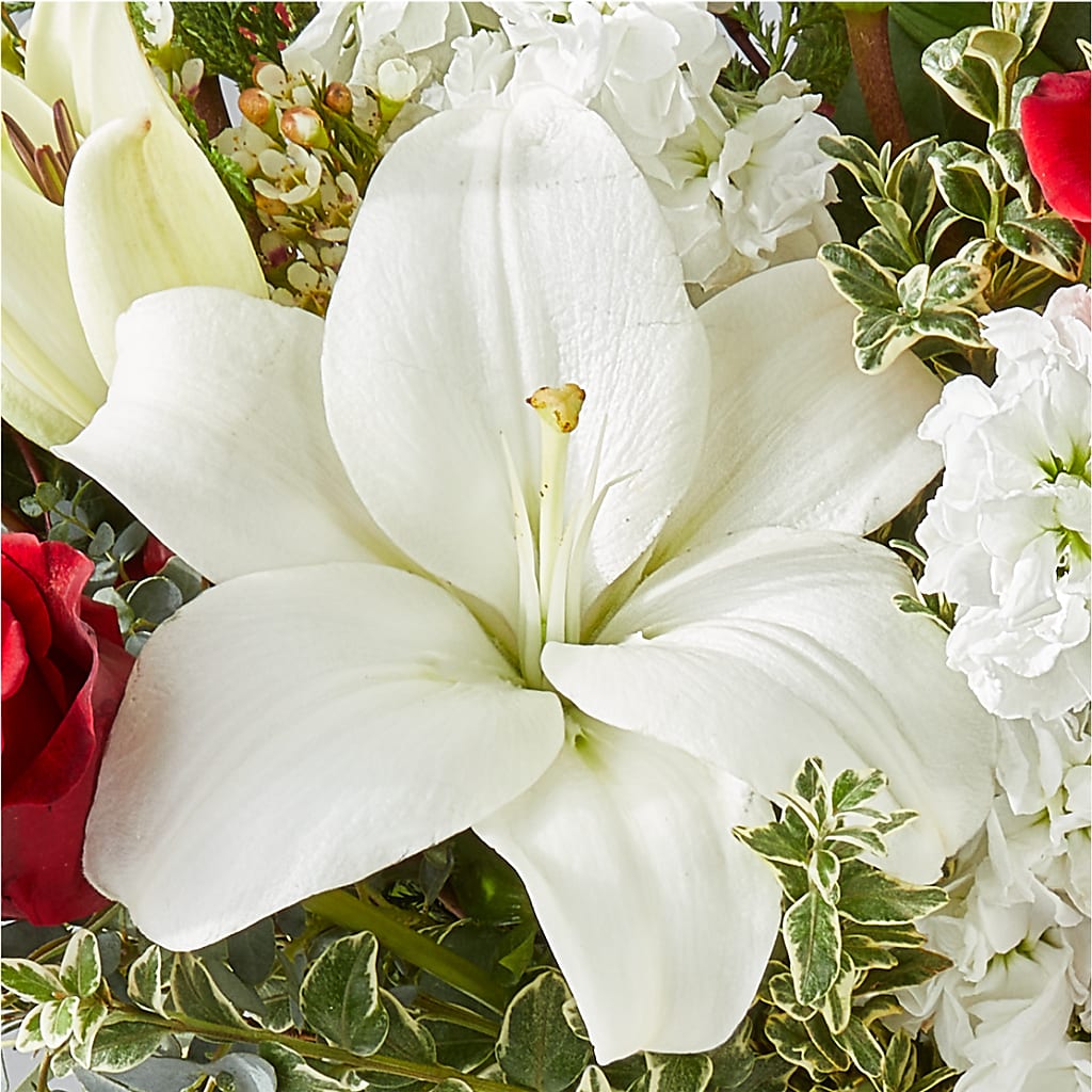 Twinkle Lights Bouquet –  Ko Caffee Llc Dba Verde Galerie, Stamford CT