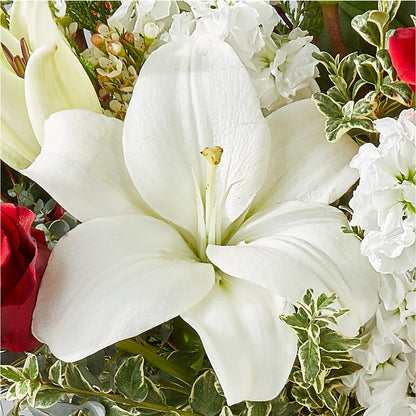Twinkle Lights Bouquet –  Ko Caffee Llc Dba Verde Galerie, Stamford CT