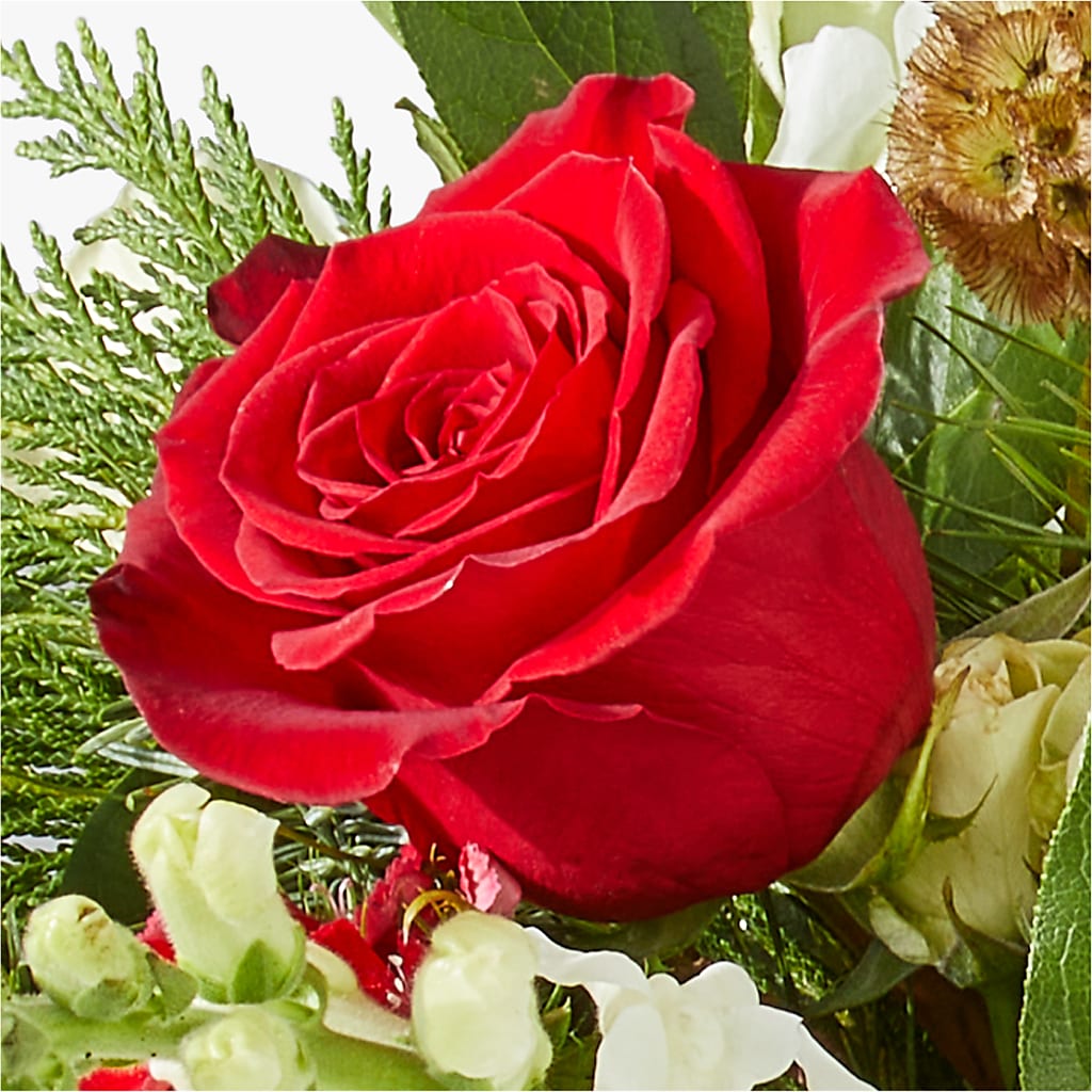 Deck the Halls Bouquet –  Ko Caffee Llc Dba Verde Galerie, Stamford CT