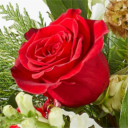 Deck the Halls Bouquet –  Ko Caffee Llc Dba Verde Galerie, Stamford CT