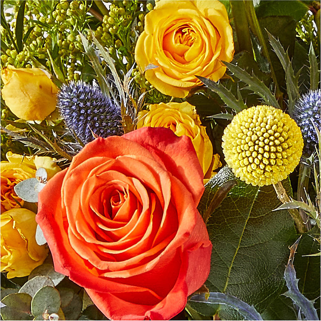 Disco Bouquet –  Ko Caffee Llc Dba Verde Galerie, Stamford CT