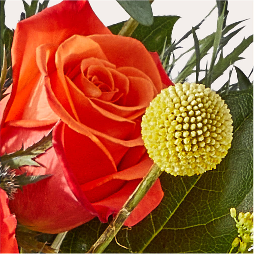 Disco Bouquet –  Ko Caffee Llc Dba Verde Galerie, Stamford CT
