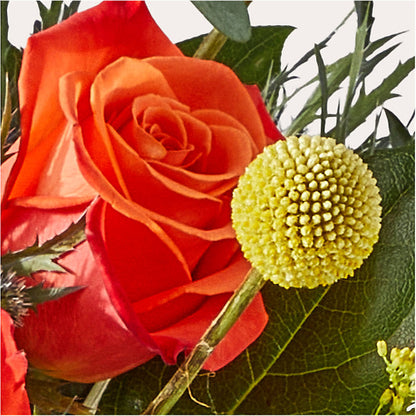 Disco Bouquet –  Ko Caffee Llc Dba Verde Galerie, Stamford CT