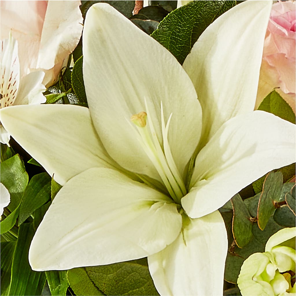 Ballet Slippers Bouquet –  Ko Caffee Llc Dba Verde Galerie, Stamford CT
