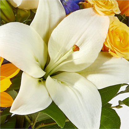 Wonderfully Sunny Bouquet –  Ko Caffee Llc Dba Verde Galerie, Stamford CT