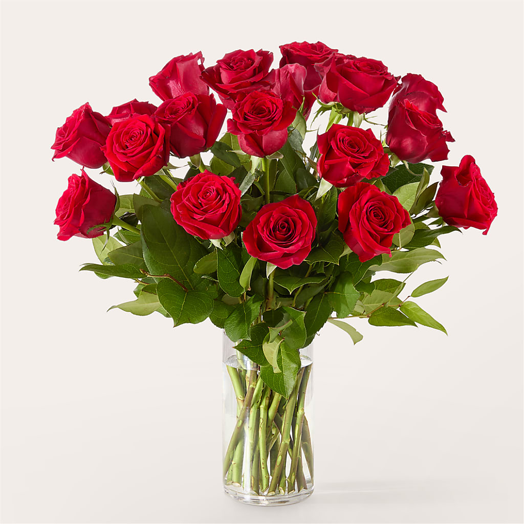 The One Red Rose Bouquet –  Ko Caffee Llc Dba Verde Galerie, Stamford CT