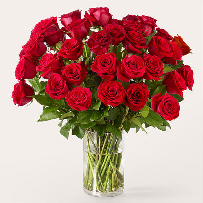 The One Red Rose Bouquet –  Ko Caffee Llc Dba Verde Galerie, Stamford CT