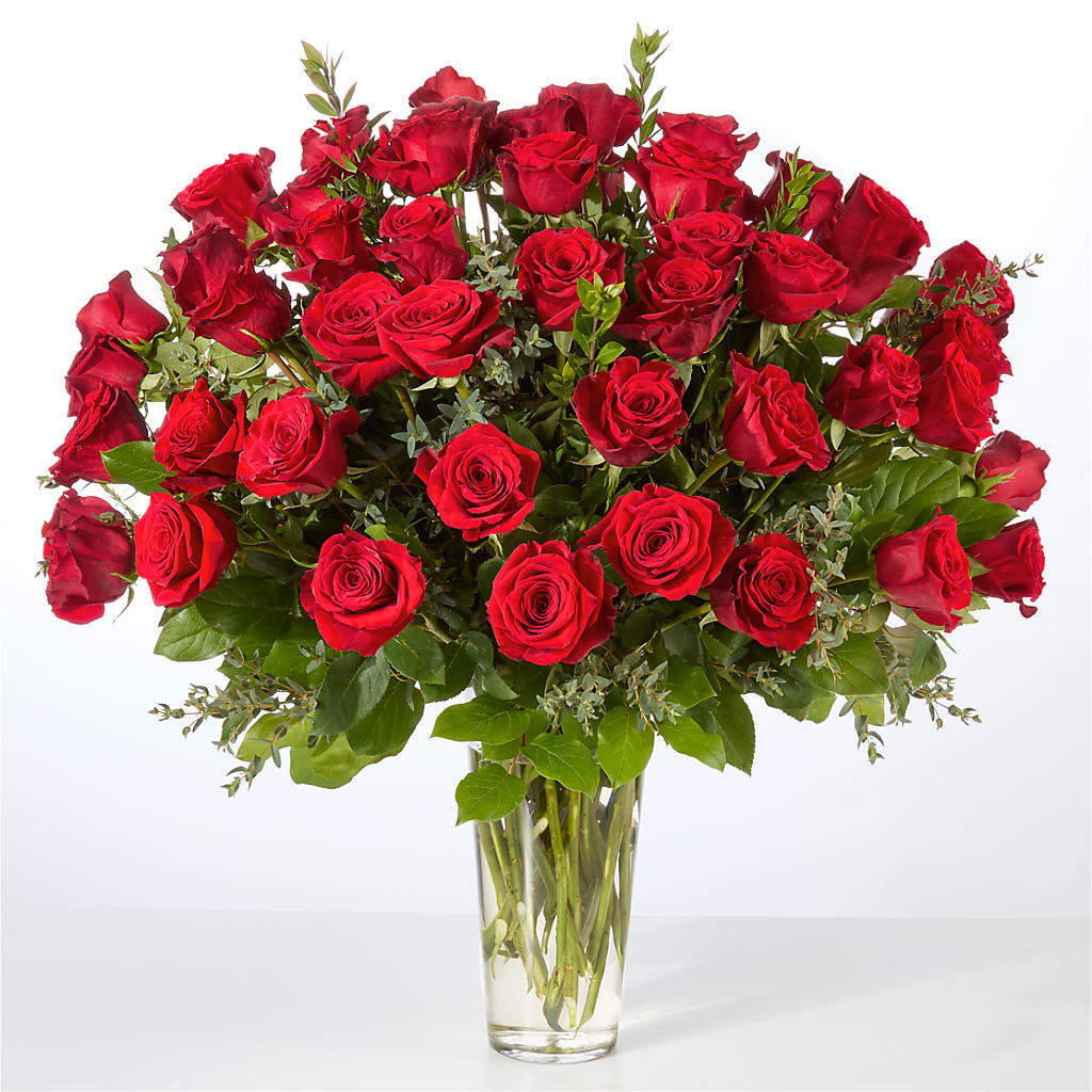 Forever Yours Fifty Stem Red Rose Bouquet –  Ko Caffee Llc Dba Verde Galerie, Stamford CT