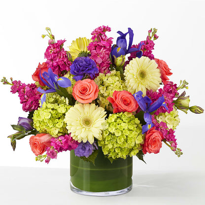 The Couture –  Ko Caffee Llc Dba Verde Galerie, Stamford CT